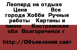 Леопард на отдыхе  › Цена ­ 12 000 - Все города Хобби. Ручные работы » Картины и панно   . Костромская обл.,Волгореченск г.